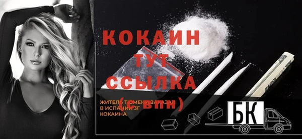 твердый Вяземский