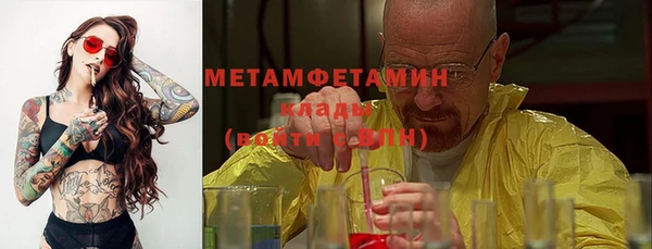 твердый Вяземский