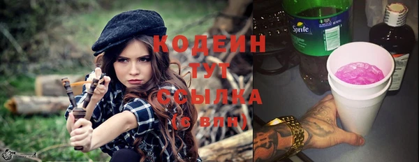 твердый Вяземский