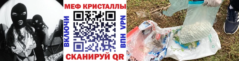 МЯУ-МЯУ мяу мяу  Камышин 
